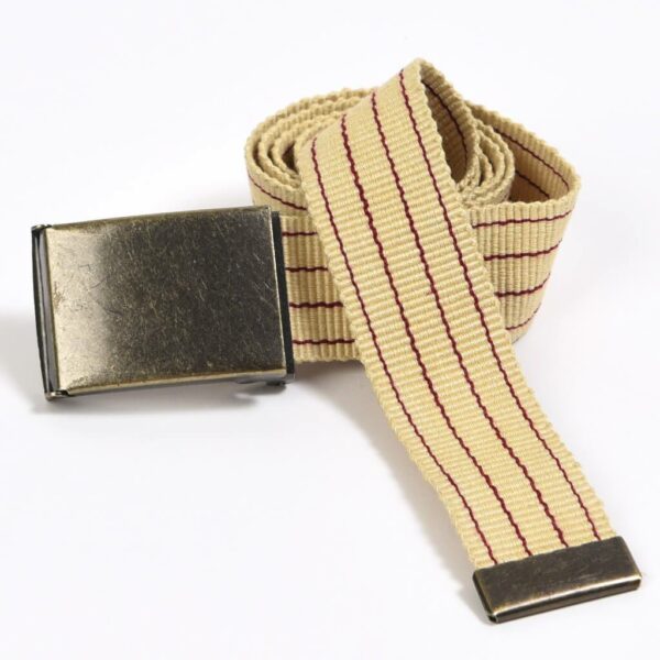 DSC_7701-Mens-Striped-Belt-Champagne_2048x