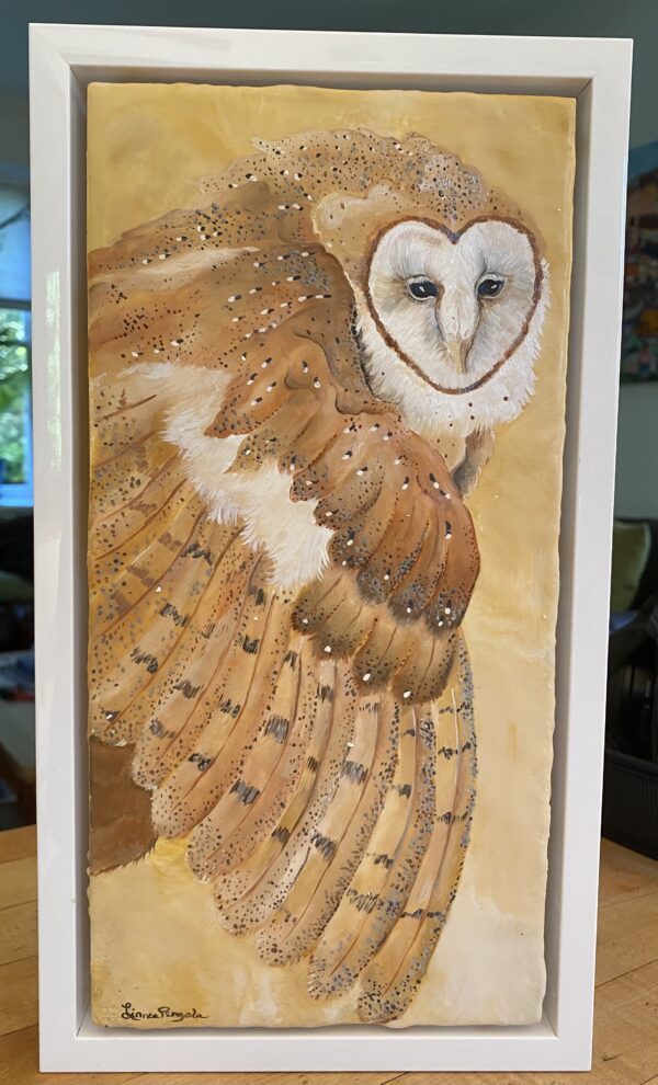 Barn Owl framed