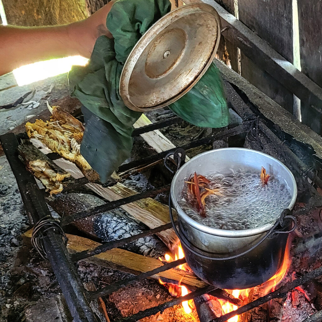 Boiling bark for medicinal tea, Amazon Ecology, Peru