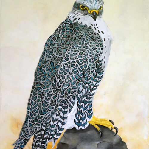 Encaustic and oil of a falcon.