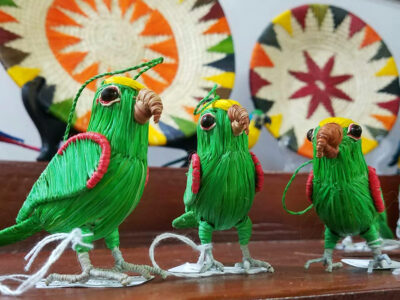 Parrots and baskets by Amazon Ecology