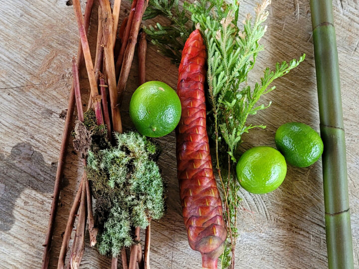 Bringing together traditional and western medicine to improve health in native communities in Peruvian Amazon