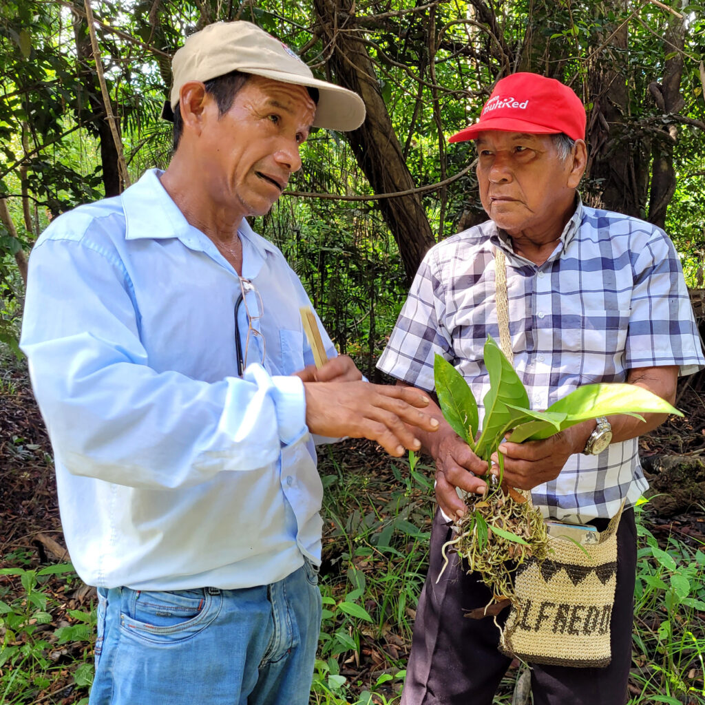 Traditional healers discussing medicinal plant use, Amazon Ecology, Peru