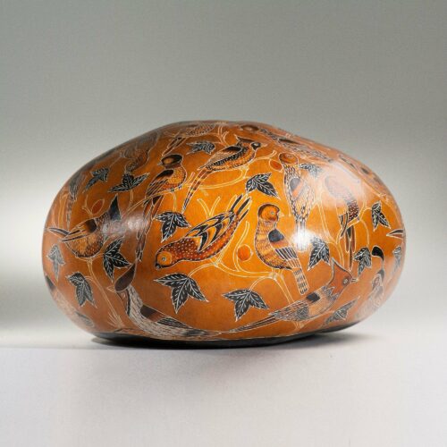 Lucuma Designs Birds of North America - finely carved gourd art
