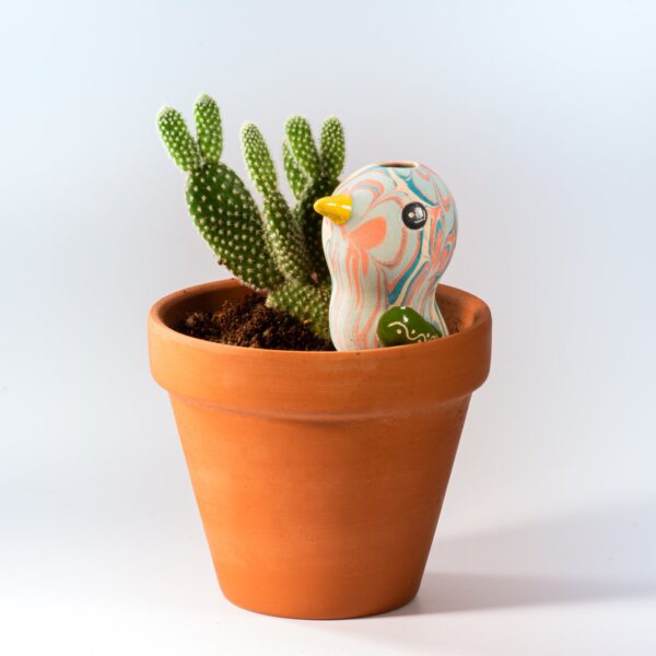 Lucuma Designs Fair Trade Bird Small - Ceramic Plant Dripper - Assorted