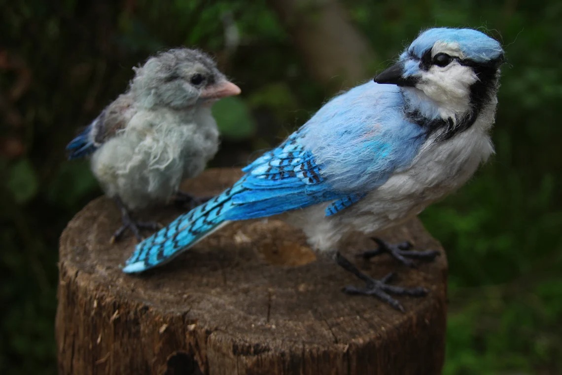 Needle Felted Blue Jay Bird by Daria Lvovsky, Art of Felting