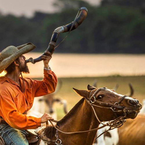 handmade horn crafts on Artizan Made